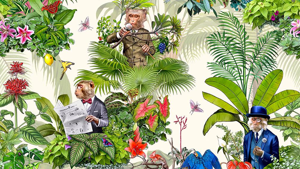 Monkey Hintergrundtapete